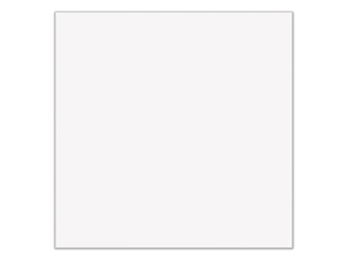 Obklad bílý matný 20x20cm