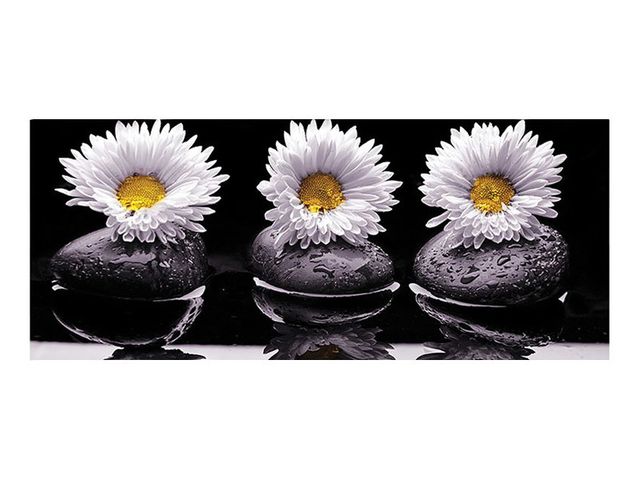 Obrázek produktu Obraz plátno - květy, 50x120