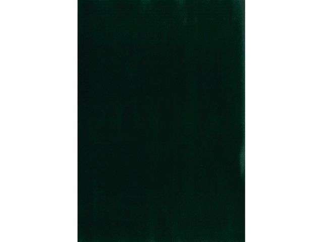 Obrázek produktu Tabulová fólie zelená, š. 45 cm