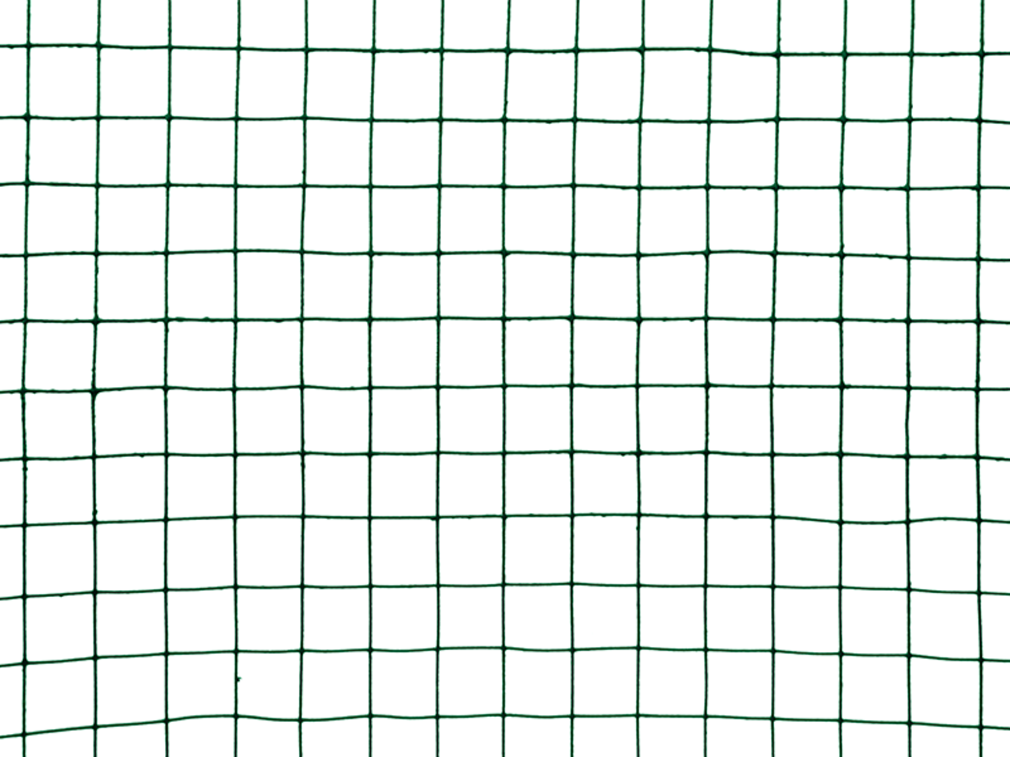 IDEAL Síť chovatelská svařovaná Zn+PVC, zelená, výška 1mx10m, oko 25x25mm