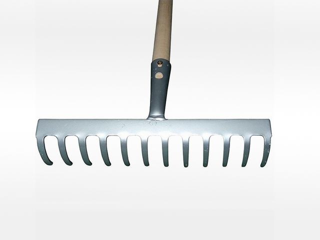 Obrázek produktu Hrábě 12 zubé s násadou