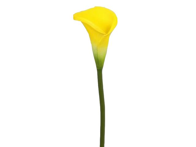 Obrázek produktu Kala umělá V58,5cm žlutá
