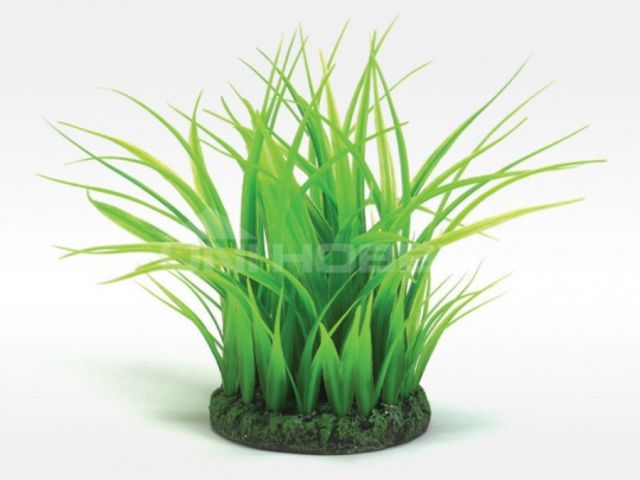 Obrázek produktu Rostliny akvarijní BIORB UH zelená M