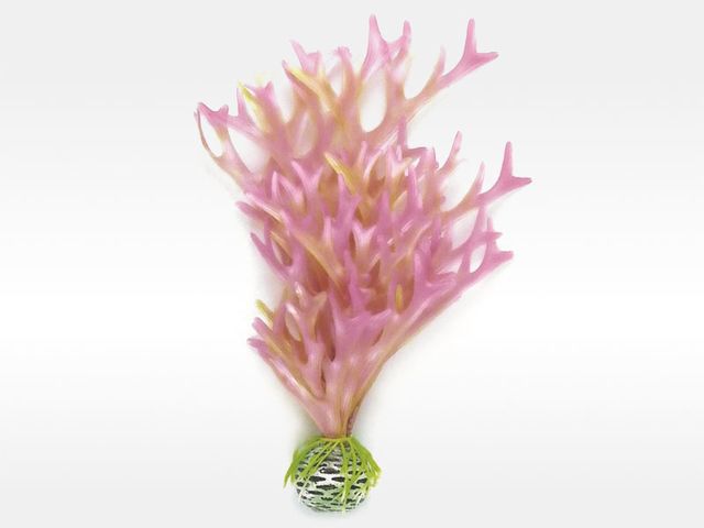Obrázek produktu Dekorace chaluha růžová malá Biorb