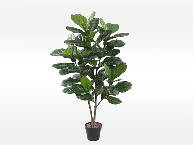 Obrázek produktu Ficus umělý 120 cm + obal