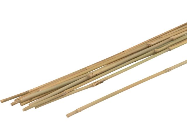 Obrázek produktu Tyč bambusová Tonkin, 6-9x750 mm