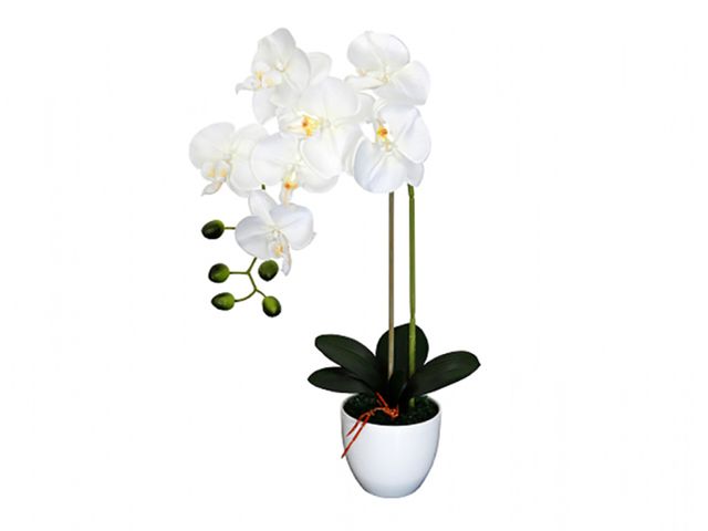 Obrázek produktu Orchidej umělá v květníku 55cm/1 výhon - 7 květů/bílá
