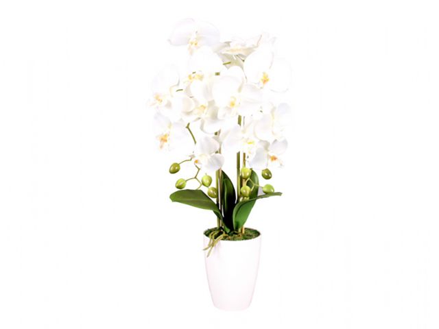 Obrázek produktu Orchidej umělá v květníku 60cm/2 výhony - 14 květů/bílá