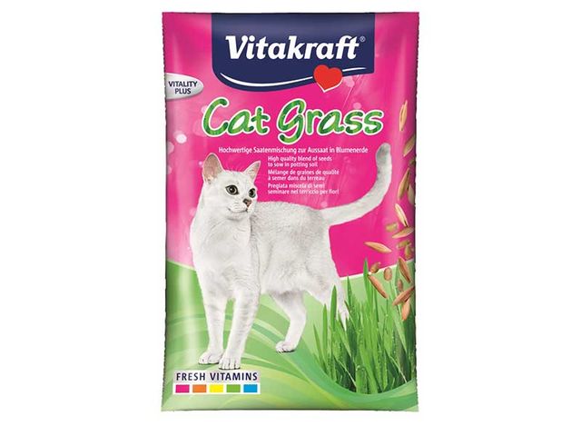 Obrázek produktu Tráva pro kočky, náhradní náplň Cat Grass 50g