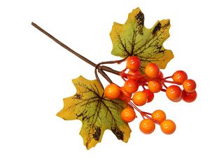 Větvička s bobulemi a listy, podzimní malá