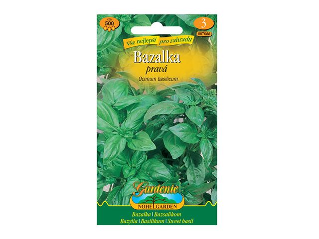 Obrázek produktu Bazalka pravá zelená, semínka