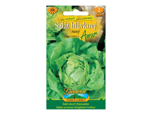 Obrázek produktu Salát hlávkový raný AMUR, semínka