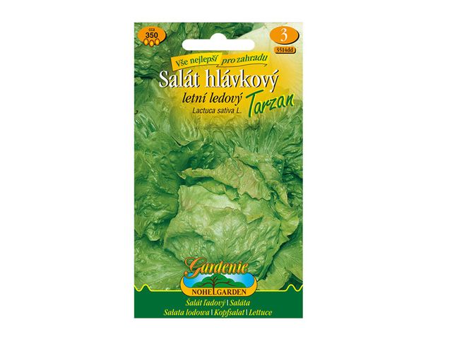 Obrázek produktu Salát hlávkový letní ledový TARZAN, semínka