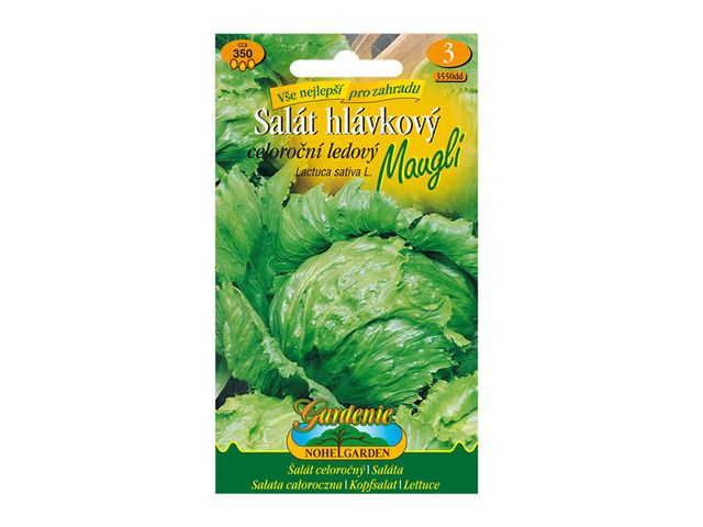 Obrázek produktu Salát hlávkový celoroční ledový MAUGLI, semínka