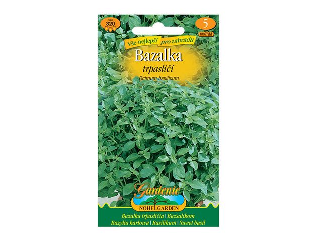 Obrázek produktu Bazalka pravá trpasličí, semínka
