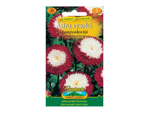 Obrázek produktu Astra čínská vysoká pomponkovitá, červeno-bílá, semínka