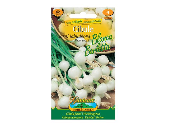 Obrázek produktu Cibule jarní bílá lahůdková BLANCA BARLETTA, semínka