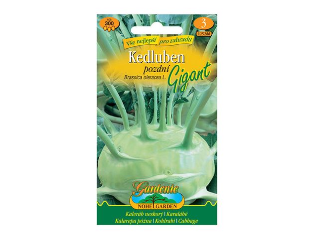 Obrázek produktu Kedluben pozdní bílý GIGANT, semínka
