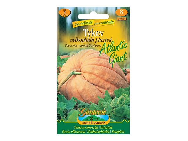 Obrázek produktu Tykev velkoplodá plazivá ATLANTIC GIANT, semínka