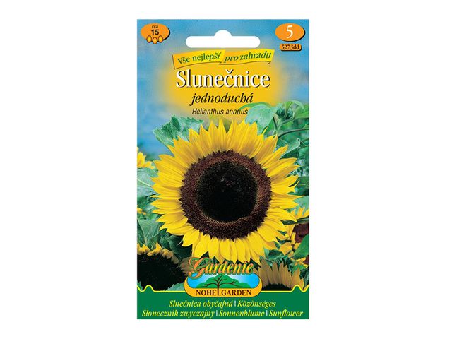 Obrázek produktu Slunečnice roční jednoduchá žlutá TAIYO, semínka