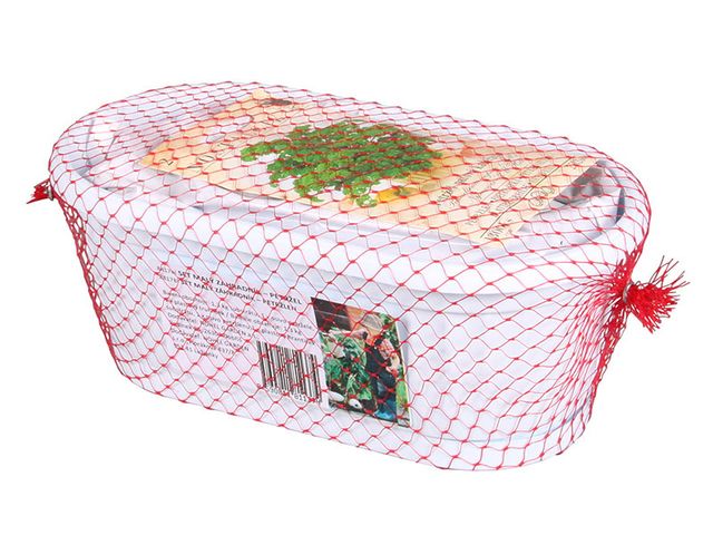 Obrázek produktu Truhlík Malý zahradník 22cm, substrát + osivo petržel kadeřavá