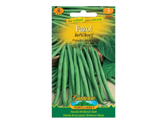 Obrázek produktu Fazol keříčkový zelený SIGMA, semínka