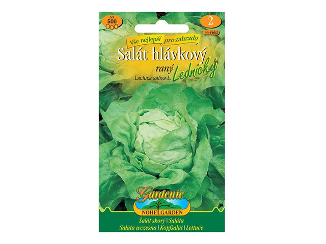 Obrázek produktu Salát hlávkový raný Lednický, semínka