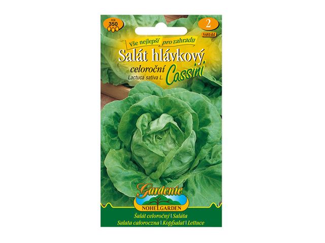 Obrázek produktu Salát hlávkový celoroční Cassini, semínka