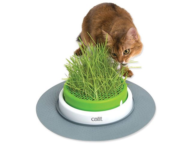 Obrázek produktu Miska na trávu pro kočky Catit Senses 2.0 Grass Planter
