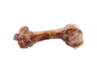 Kost Rasco Premium šunková