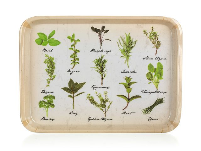 Obrázek produktu Tác melaminový HERBS 30 x 21,5 cm