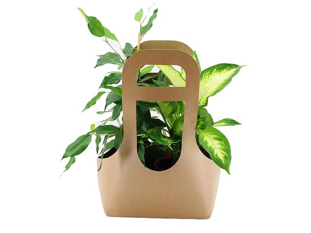 Obrázek produktu Rostliny v tašce, 2ks, K12