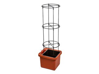 Opora pro pěstování rostlin k truhlíku Berberis, v. 132,5cm
