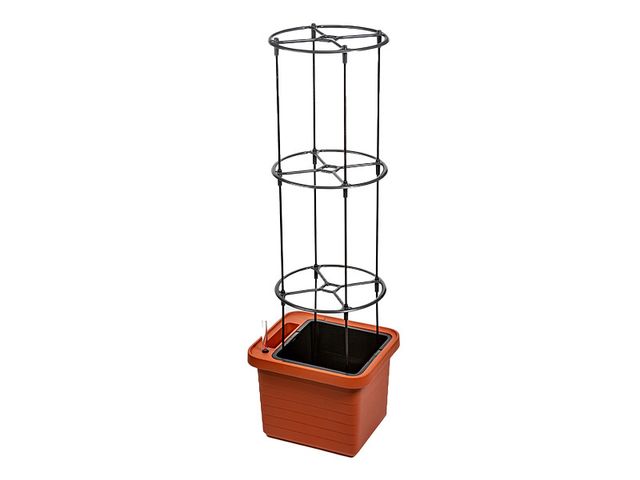 Obrázek produktu Opora pro pěstování rostlin k truhlíku Berberis, v. 132,5cm