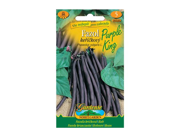 Obrázek produktu Fazol keříčkový fialový PURPLE KING, semínka