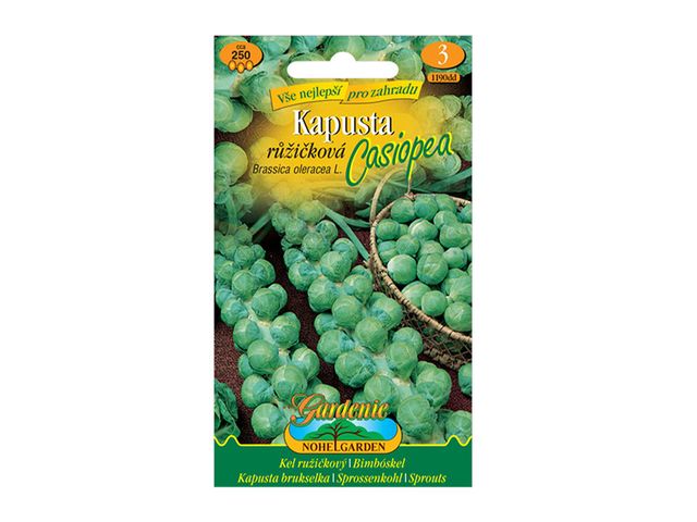 Obrázek produktu Kapusta růžičková CASIOPEA, semínka