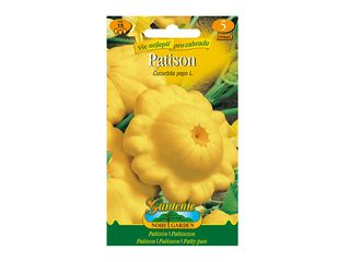 Patison žlutý, semínka
