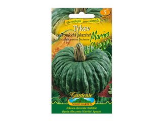 Tykev plazivá velkoplodá MARINA DI CHIOGGIA, semínka