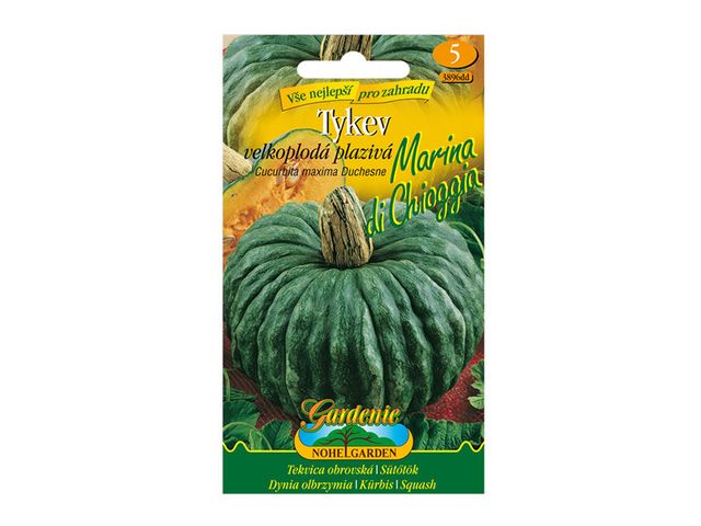 Obrázek produktu Tykev plazivá velkoplodá MARINA DI CHIOGGIA, semínka