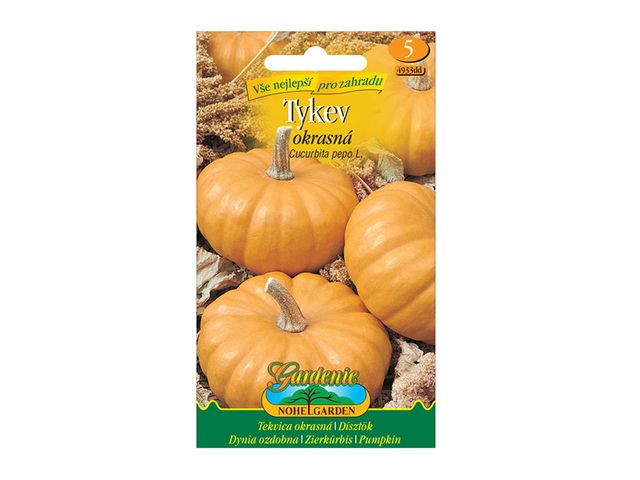 Obrázek produktu Tykev okrasná oranžová, semínka