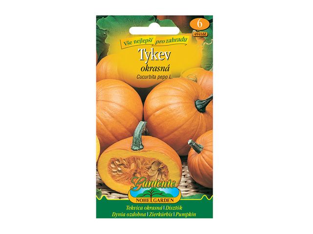 Obrázek produktu Tykev okrasná kulatá, oranžová, semínka