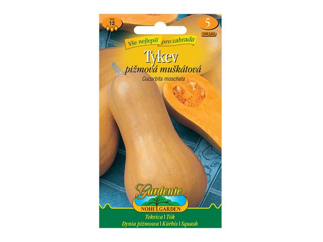 Obrázek produktu Tykev pižmová muškátová, semínka
