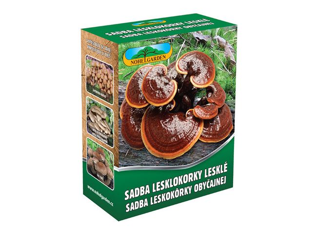 Obrázek produktu Lesklokorka lesklá 250ml, sadba