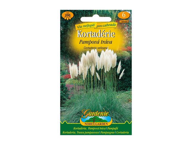 Obrázek produktu Cortaderie - Pampová tráva, bílá, semínka