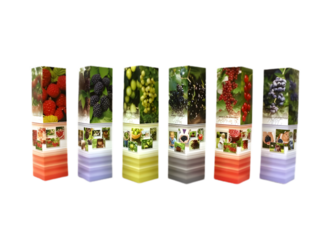 Keře ovocné v balu, mix, karton 7,5x7,5x30cm