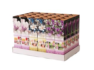 Magnolia K9, mix, karton 9x9x38cm