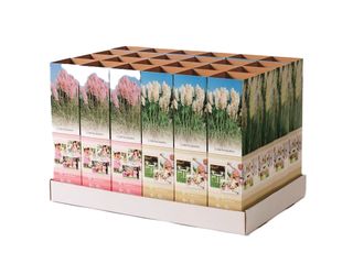 Cortaderia K9, mix, karton 9x9x38cm