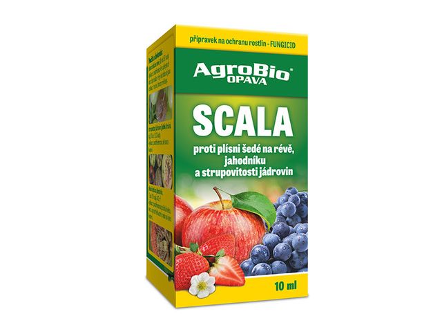 Obrázek produktu Scala 10ml
