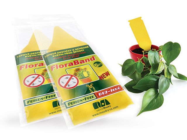 Obrázek produktu Lepové šipky žluté FloraBand 5 ks
