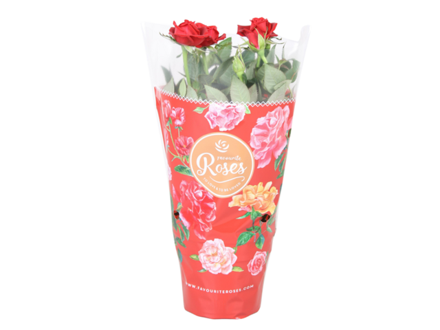 Obrázek produktu Rosa červená K10